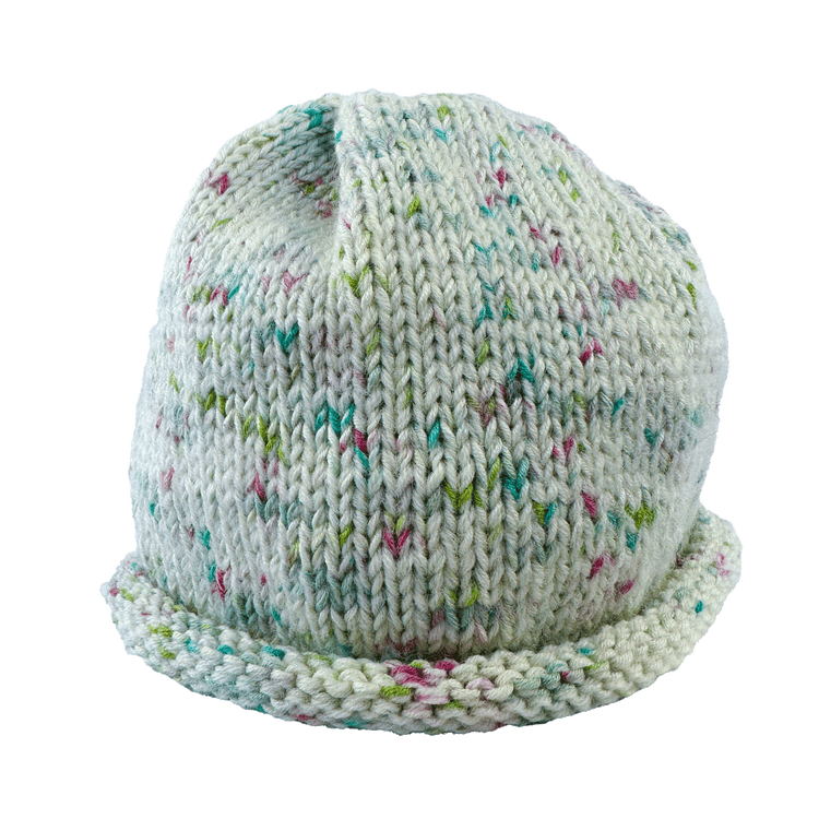 Rolled Brim Beanie