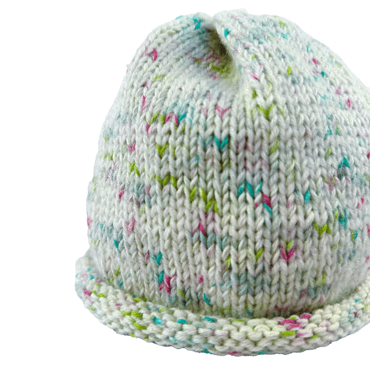 Rolled Brim Beanie
