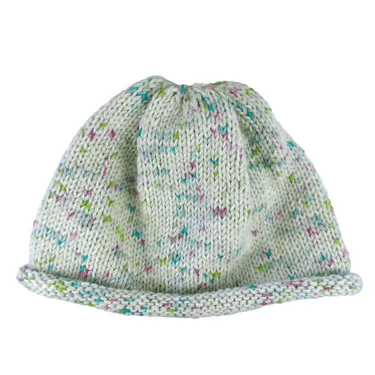 Rolled Brim Beanie