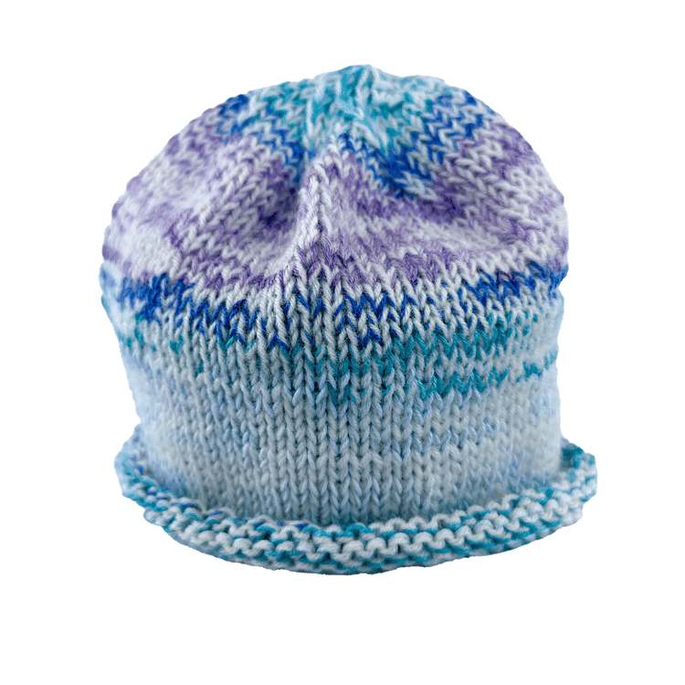 Rolled Brim Beanie