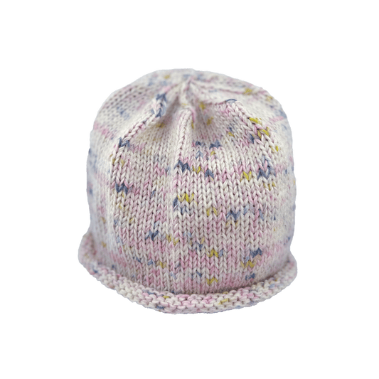Rolled Brim Beanie